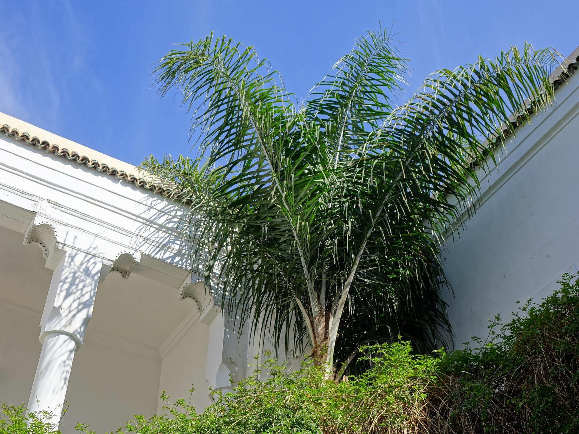 Riad Al Assala Marrakesh Eksteriør bilde